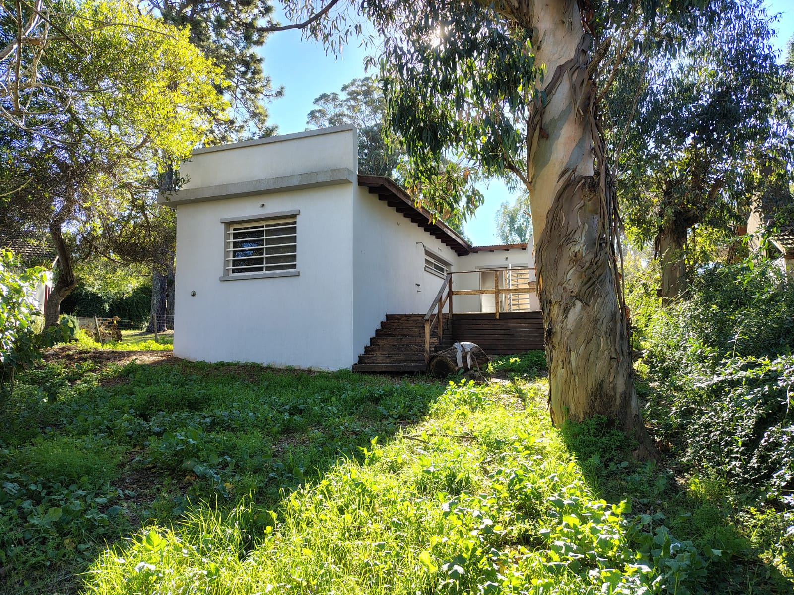 WhatsApp Image 2025-07-18 at 17.08.59.jpeg